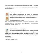 Referāts 'SIA "Sakret"', 22.