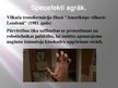 Prezentācija 'Specefekti', 17.
