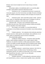 Diplomdarbs '2-3 gadīgu bērnu saskarsmes prasmju veidošana rotaļās', 13.