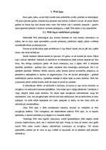 Referāts 'Interneta lapas', 1.