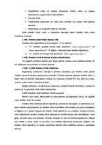 Referāts 'Interneta lapas', 5.