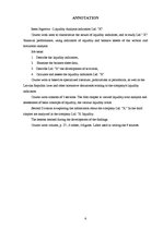 Referāts 'Likviditātes rādītāju analīze SIA "X"', 6.