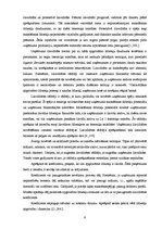 Referāts 'Likviditātes rādītāju analīze SIA "X"', 9.