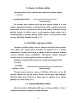 Referāts 'Likviditātes rādītāju analīze SIA "X"', 10.