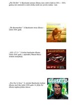 Prezentācija 'Dziedātājs Basshunter', 7.