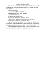 Referāts 'Prakses atskaite mārketingā', 3.