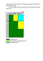 Referāts 'Prakses atskaite mārketingā', 9.