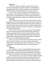 Referāts 'Prakses atskaite mārketingā', 11.