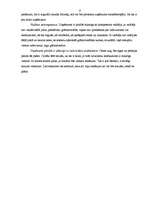 Referāts 'Prakses atskaite mārketingā', 12.