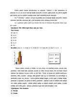 Referāts 'Prakses atskaite mārketingā', 20.