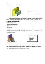 Referāts 'Prakses atskaite mārketingā', 21.
