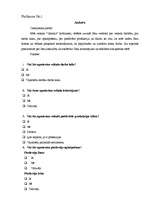 Referāts 'Prakses atskaite mārketingā', 27.