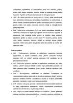 Referāts 'Sauso maisījumu rūpnīca "Sakret"', 17.