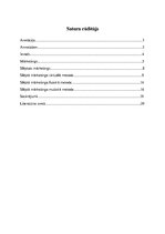 Referāts 'Slēptais mārketings', 1.