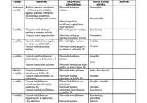 Konspekts 'Tematiskais plāns 10.klasei', 1.