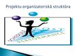Prezentācija 'Projektu organizatoriskā struktūra', 1.