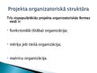 Prezentācija 'Projektu organizatoriskā struktūra', 3.