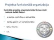 Prezentācija 'Projektu organizatoriskā struktūra', 4.