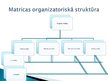 Prezentācija 'Projektu organizatoriskā struktūra', 7.