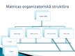 Prezentācija 'Projektu organizatoriskā struktūra', 7.