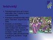 Prezentācija 'Okeānija - kultūrainavas raksturojums', 9.
