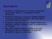Prezentācija 'Okeānija - kultūrainavas raksturojums', 13.