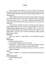 Referāts 'Pusaudžu lielākā problēma - agrīna grūtniecība', 3.