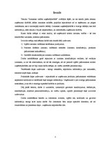 Referāts 'Peļņas un izmaksu vadība uzņēmumā "X"', 3.