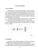 Referāts 'Skābais lietus', 6.