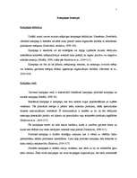 Referāts 'Kampaņu specifika', 2.