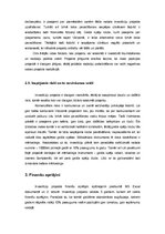 Biznesa plāns 'Investīciju projekts "Galda spēļu veikala/kluba izveide Vidzemē"', 5.