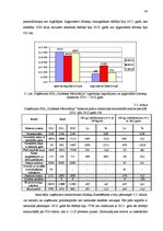 Diplomdarbs 'Finansiāli saimnieciskās darbības pilnveide pakalpojumu sniegšanas uzņēmumā', 34.