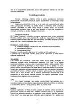 Biznesa plāns 'SIA "Pasaka"', 9.