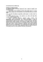 Biznesa plāns 'SIA "Pasaka"', 10.