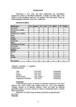 Biznesa plāns 'SIA "Pasaka"', 11.