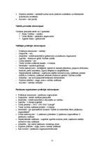 Biznesa plāns 'SIA "Pasaka"', 13.