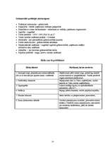 Biznesa plāns 'SIA "Pasaka"', 14.