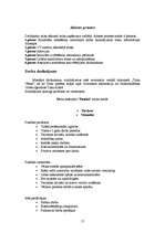 Biznesa plāns 'SIA "Pasaka"', 17.