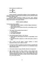 Biznesa plāns 'SIA "Pasaka"', 20.