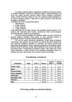 Biznesa plāns 'SIA "Pasaka"', 25.