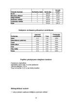 Biznesa plāns 'SIA "Pasaka"', 26.