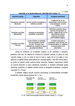 Diplomdarbs 'Personāla motivēšanas sistēmas informāciju tehnoloģiju jomā', 15.