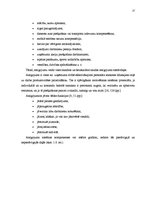 Diplomdarbs 'Personāla motivēšanas sistēmas informāciju tehnoloģiju jomā', 27.