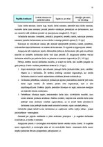 Diplomdarbs 'Personāla motivēšanas sistēmas informāciju tehnoloģiju jomā', 31.