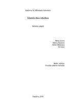 Referāts 'Glezniecības tehnikas', 1.