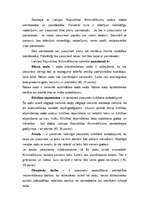 Referāts 'Sodu sistēma', 3.