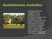 Prezentācija 'Zirgu selekcija Latvijā', 4.