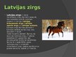 Prezentācija 'Zirgu selekcija Latvijā', 9.