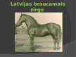Prezentācija 'Zirgu selekcija Latvijā', 11.