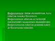 Prezentācija 'Ekosistēmas struktūra', 6.